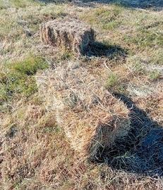 Fieno di montagna ballette