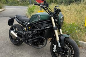 Benelli Leoncino 800 2023