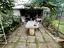 Immagine 26