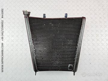 RADIATORE RTM IMOLA OHVALE GP pitbike mini gp