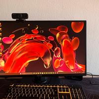 Monitor gaming VG258QM