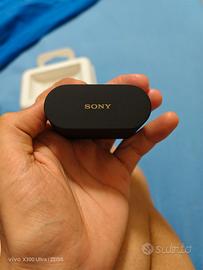 Sony WF-1000XM6