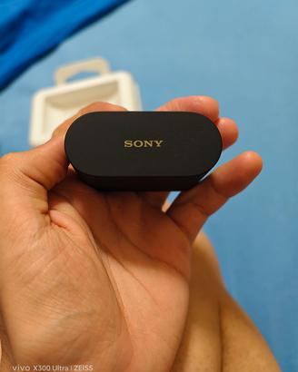 Sony WF-1000XM6