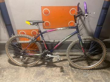 Bici Atala, mountain bike