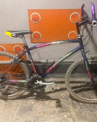 Bici Atala, mountain bike