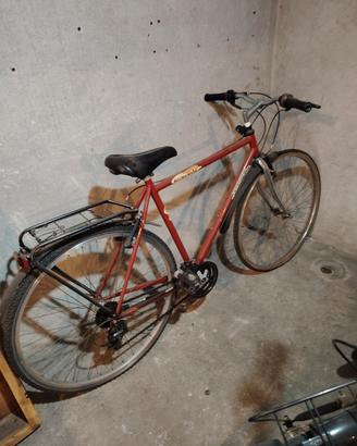 Mountain bike uomo  28