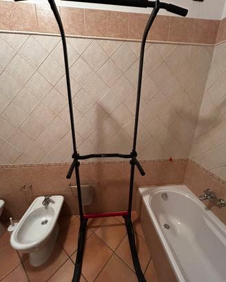 postazione trazioni-parallele