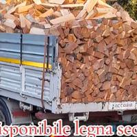 Legna secca