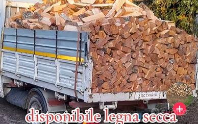 Legna secca