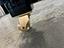 Immagine 11