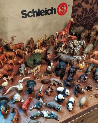 Collezione animali selvatici Schleich 