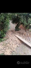 Pietre di Fiume
