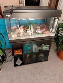 Acquario koro 83