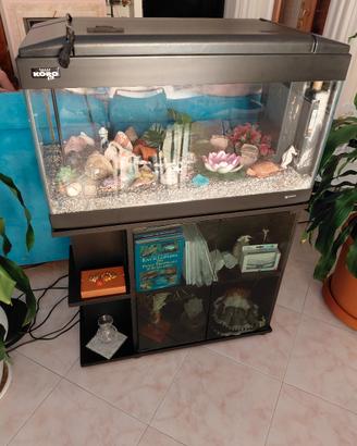 Acquario koro 83