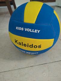 11 volleyball balls