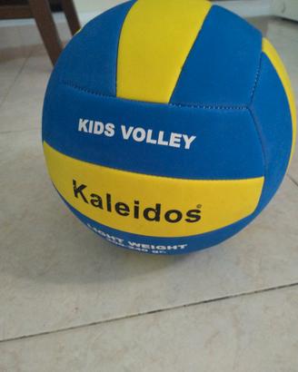 11 volleyball balls