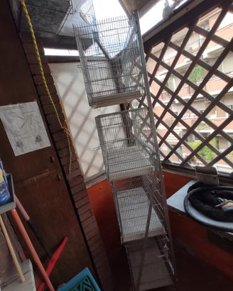 Gabbie (4) da 65 + Carrello espositivo