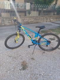 MOUNTAIN BIKE