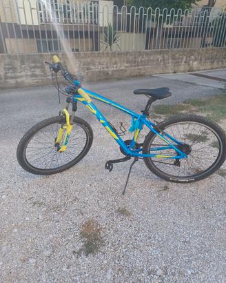 MOUNTAIN BIKE