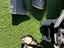 Immagine 5