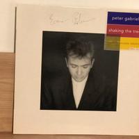 Lotto 2 LP Dischi Peter Gabriel