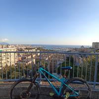 Ragley Bluepig hardtrail