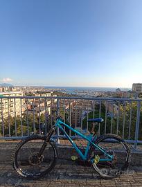 Ragley Bluepig hardtrail