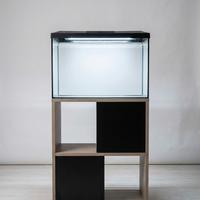 Acquario Aquael leddy 60XL+mobile design+accessori