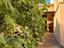 Immagine 18