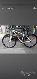 mtb specialized taglia m