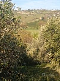 Oliveto Valliano (RN) con magazzino