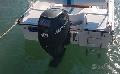 Motore fuoribordo Mercury 40cv 4 tempi EFI 2008