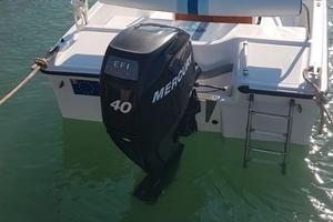 Motore fuoribordo Mercury 40cv 4 tempi EFI 2008