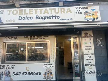 Attività
