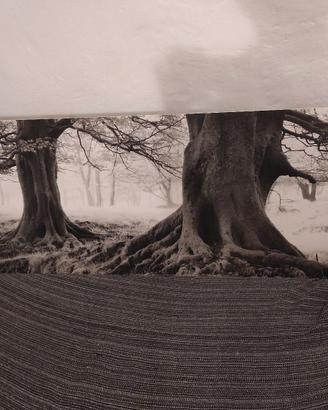 Quadro su pannello rigido MDF – Alberi in B/N