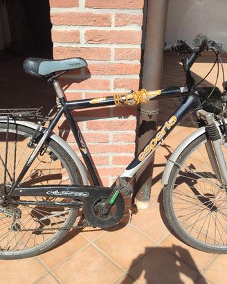 Bici da uomo Esperia 