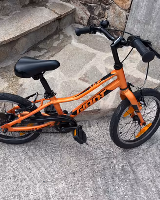 Bici da bambino GIANT ARX 16 pollici