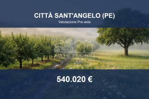 Immobile in asta di 1474 m² a Città Sant'Angelo