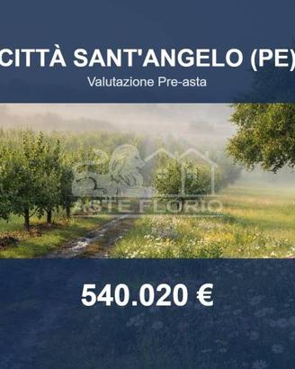 Immobile in asta di 1474 m² a Città Sant'Angelo