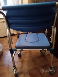 sedia a rotelle 