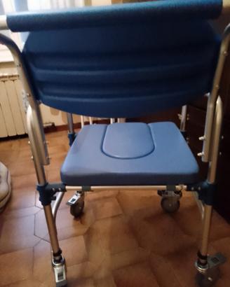 sedia a rotelle 