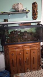 Acquario