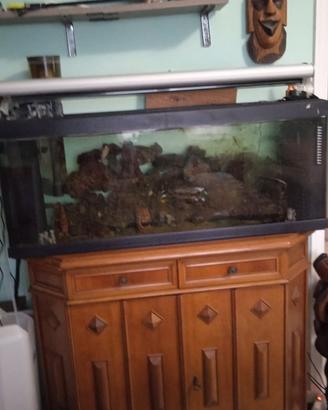 Acquario