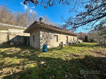 Casa da ristrutturare,uliveto un ettaro di terra