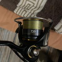 mulinello Daiwa + canna Abu garcia