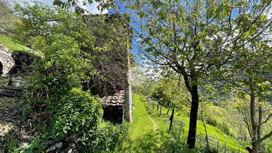 RUSTICO A VEZZA D'OGLIO