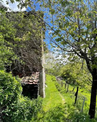 RUSTICO A VEZZA D'OGLIO
