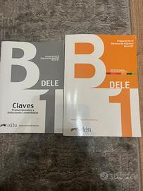 DELE B1