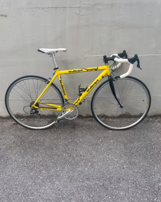 Bici da corsa