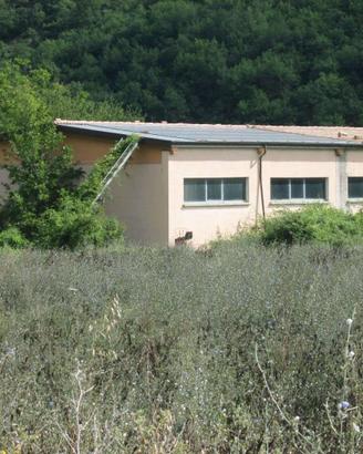 RGE 22/2024 Trib Urbino